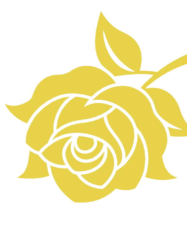 Leaf accent image